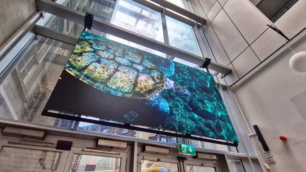 indoor led display_3